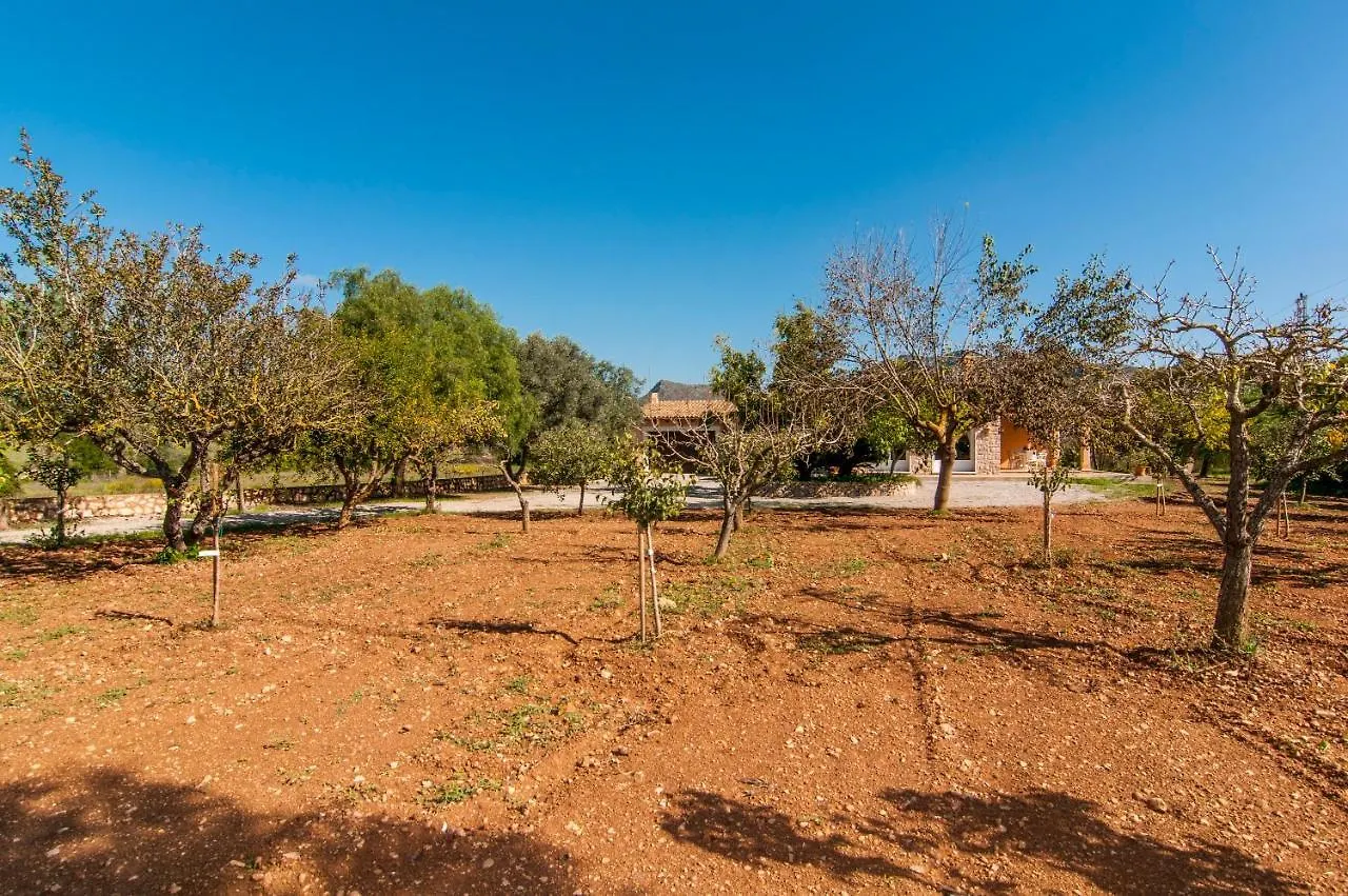 Finca C'An Verano Artá 0*,