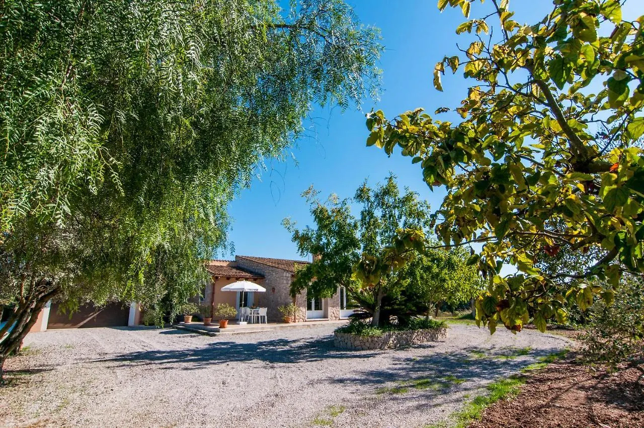 ヴィラ Finca C'An Verano アルタ