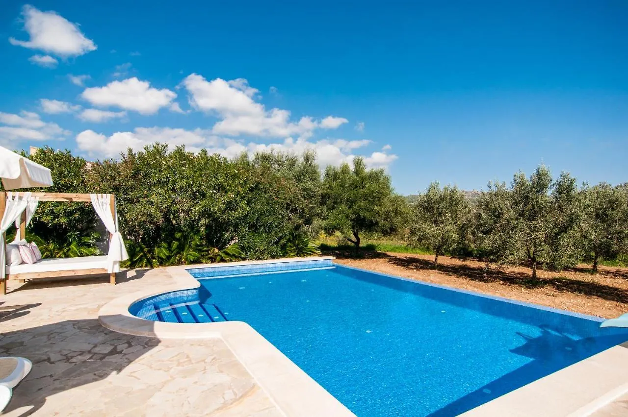 ヴィラ Finca C'An Verano アルタ