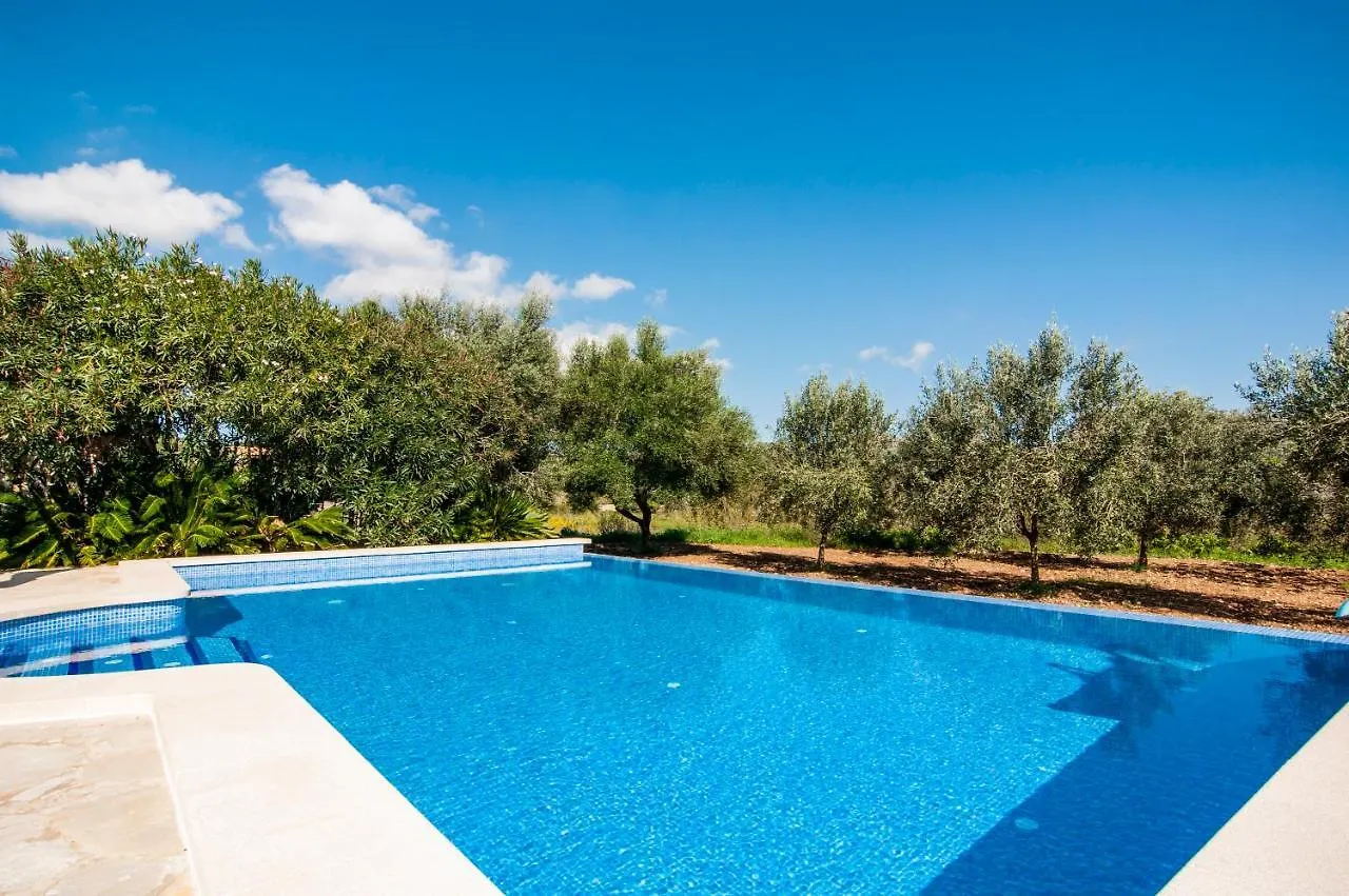 Finca C'An Verano アルタ