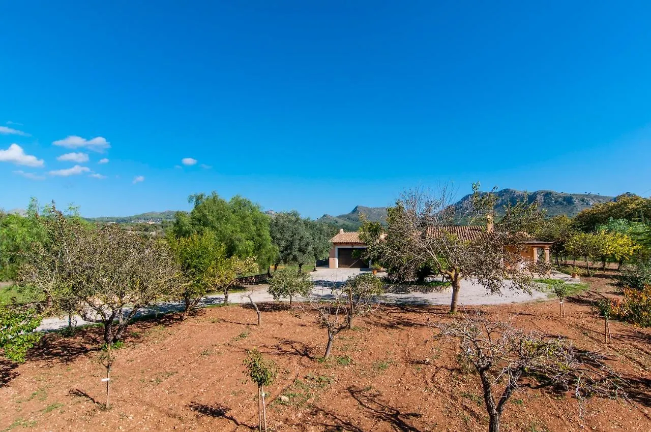 ヴィラ Finca C'An Verano アルタ
