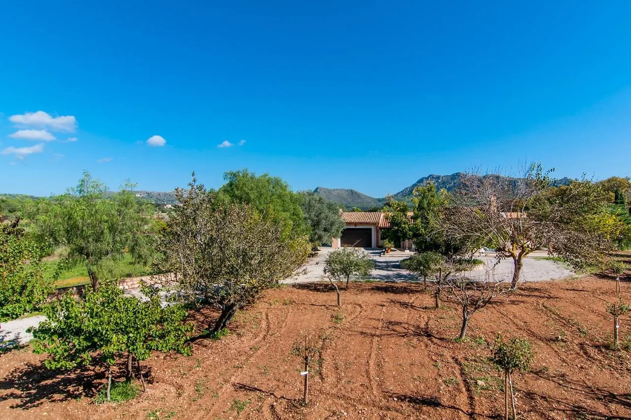Finca C'An Verano アルタ
